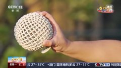 正在这里储藏着陶瓷文化的“基因暗码”